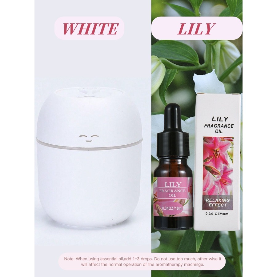 220ML USB Mini Aroma Diffuser  - Crossfit Machine avaliação e preço