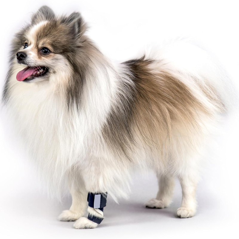 Carpal Hyperextension Dog Brac - Ankle Mobility Band avaliação e preço